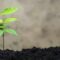 Eco-friendly fashion brands