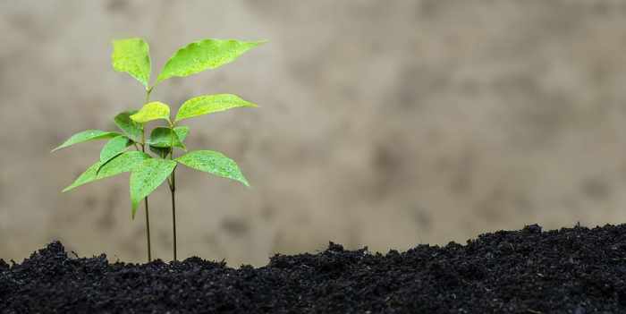 Eco-friendly fashion brands